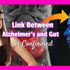 Text stating: "Link between Alzheimers and Gut".