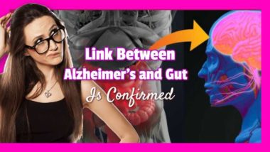 Text stating: "Link between Alzheimers and Gut".