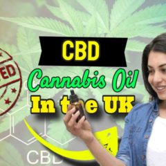 Image with text: "Cannabis Oil CBD Approved in UK".