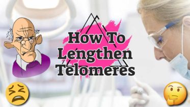 Featured text: "how to lengthen tolomeres".