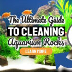 Featured Image with the text: "The Ultimate Guide to Cleaning Aquarium Rocks".
