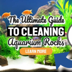 Featured Image with the text: "The Ultimate Guide to Cleaning Aquarium Rocks".