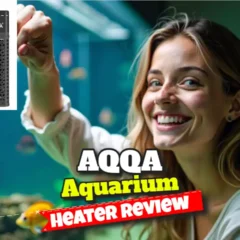 AQQA Aquarium Heater Review. Featured image.