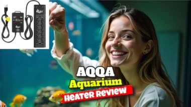 AQQA Aquarium Heater Review. Featured image.